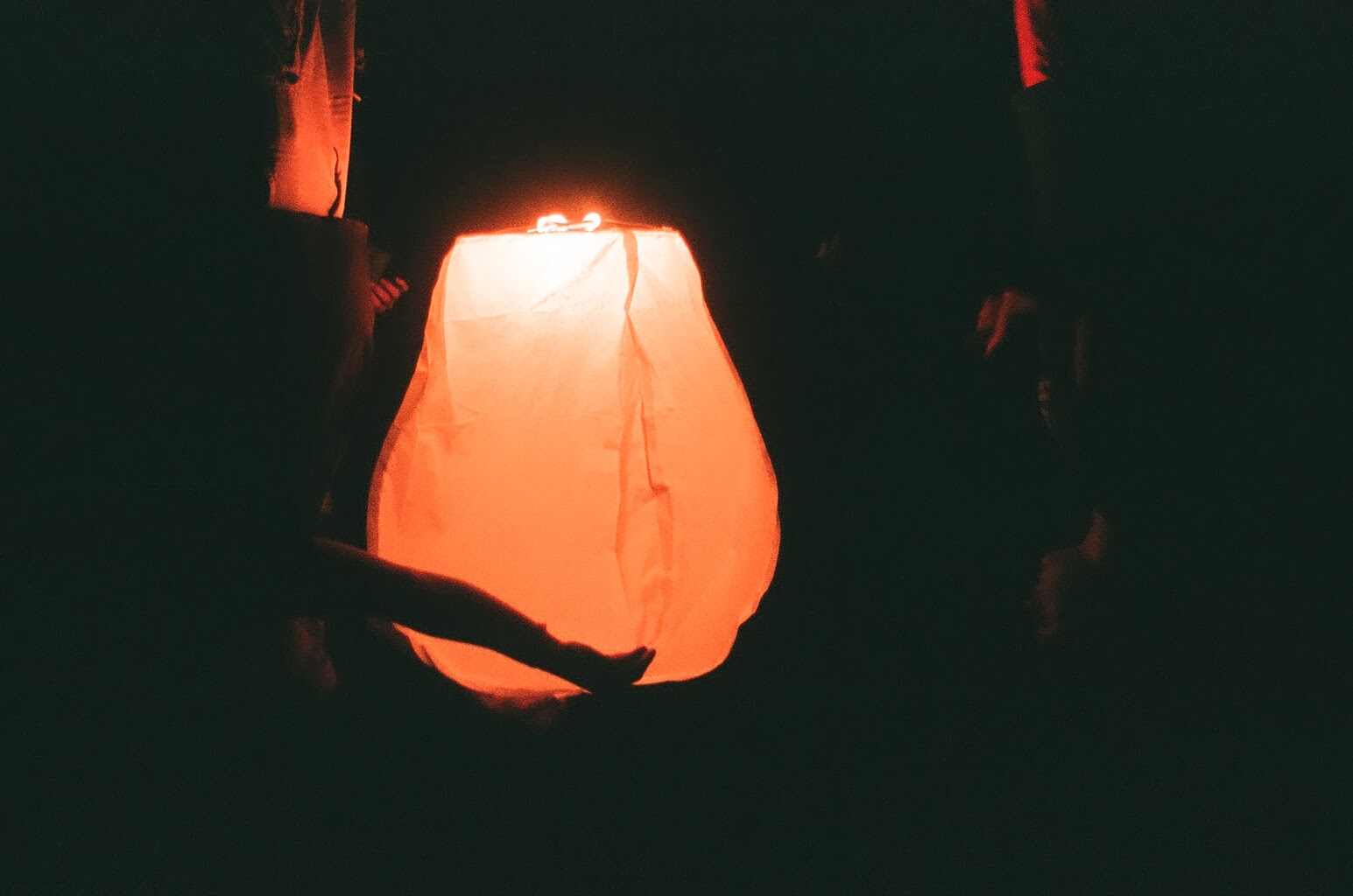 Image 31