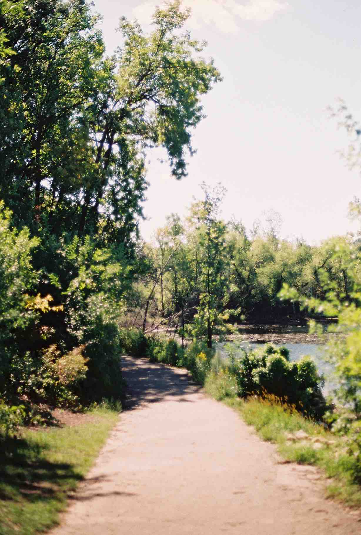 Image 21