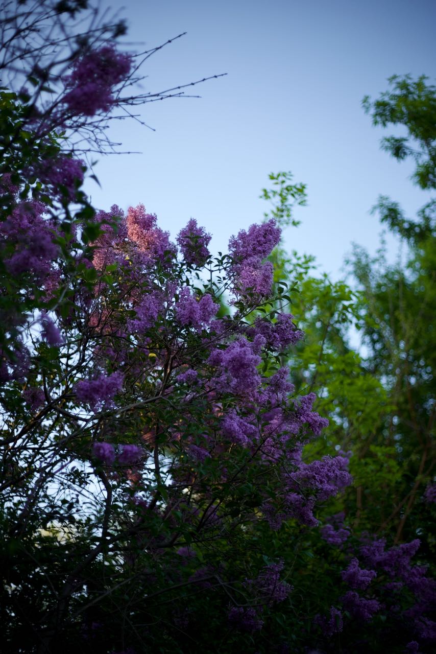 Image 17